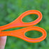 Green Catcher Plastic Outdoor Clamp Biology with Tweezer for Insect Bug Scissors Gifts Sports and Outdoor Play...