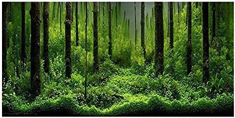 PVC Adhesive Underwater Forest Tank Background Poster Fish Tank Decorations Background Pictures Aquarium PVC Adhesive Poster for Fish Tank...