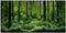 PVC Adhesive Underwater Forest Tank Background Poster Fish Tank Decorations Background Pictures Aquarium PVC Adhesive Poster for Fish Tank...
