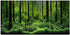 PVC Adhesive Underwater Forest Tank Background Poster Fish Tank Decorations Background Pictures Aquarium PVC Adhesive Poster for Fish Tank...