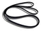 Most Popular Dryer Drum Belt Compatible with Maytag Neptune Dryer Edgewater Parts Fits Model# (LER, LGP, PYE, REX, TED, LEQ, LGR)