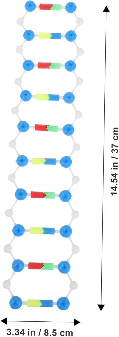 Dna Double Helix Model Components Educational Teaching Model Dna Teaching Aids Molecular Model Self-assembling Model Dna Model Kit Biology Dna Mod...