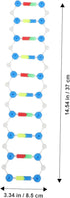 Dna Double Helix Model Components Educational Teaching Model Dna Teaching Aids Molecular Model Self-assembling Model Dna Model Kit Biology Dna Mod...