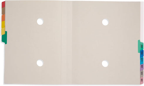 Blue Summit Expanding Desk File, Letter Size, 12 Dividers for Monthly Organization...