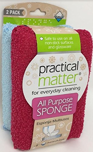 Cleanlogic Practical Matter Fiber Sponge, 2 Count...