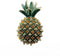 Pineapple Brooch Pins Cute Rhinestone Pineapple Brooches Fruit Lapel Pins Women for Clothes Hat Backpacks Jackets Shirt Accessory DIY Decoration...