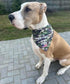Set of Two Camo Dog Bandanas. One Size fits All, Lightweight, Breathable. Military Veterans, Air Force, Navy, Army, Marines, Pet Accessory, Large ...