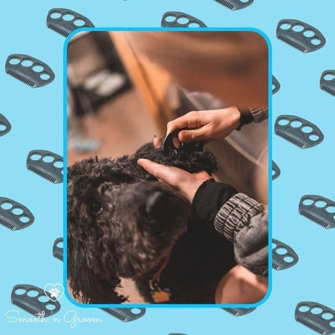 The Fur Hero - Say Goodbye to tangles, mats, and eye gunk using our guarded comb with an embedded razor blade, making grooming an easy bonding exp...