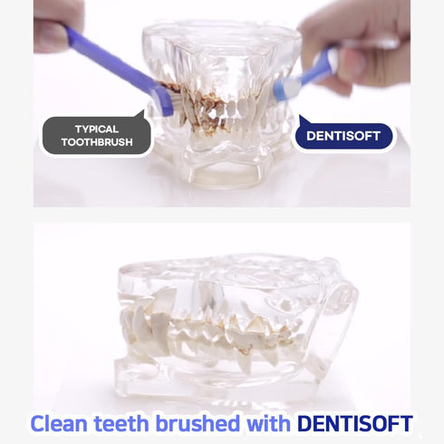 Dentisoft Pet Toothbrush Small & Medium Size for Cat and Dog (Medium)...
