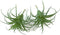 2 PCS Artificial Succulents Plants Unpotted Fake Tillandsia Air Plants Succulent Bouquet Arrangements Faux Plants DIY for Garden Decor Home Decora...