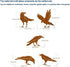 5PCS Rusty Birds Decoration, Outdoor Fence Decorations, Lifelike Metal Birds Silhouette Craft Statue Ornaments Funny Bird Decor Garden Yard Art, F...