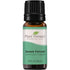 Plant Therapy Sweet Fennel Essential Oil 10 mL (1/3 oz) 100% Pure, Undiluted, Therapeutic Grade...