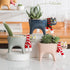 Cat Flower Pot,Cat Planter,Succulent Planter Cat Pots,Ceramic Animal Planter,Cat Planters for Indoor Plants for Indoor Home Decor,Office Desk or K...
