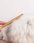 Pet Comb for Cats, Dematting Comb for Dogs,CISHNOU Solid Wood Pet Comb Grooming Tool for Cats,Dogs and rabbits (Single tooth)...
