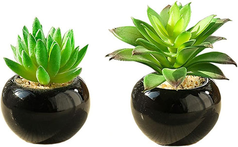 Teensery 2 Pcs Mini Artificial Succulent Plants Pots with Black Round Ceramic Bowl for Home Decoration, Office Decoration, Gift and More...