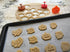 R&M International 0 Autumn 2" Pastry/Cookie/Fondant Stampers, Turkey, Acorn, Pumpkin, Oak Leaf, 4-Piece Set...
