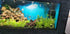 Aquarium Background Poster Under Water Cave Sunlight Fish Tank Backdrop Decorations PVC Fish Tank Background (30" x 12"/ 76 x 30cm)...