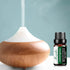 Lemongrass Essential Oils Plant & Pure Jasmine Oil for Diffuser, Humidifier,Perfume, Bath-10ml...