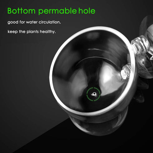 capetsma 2X Crystal Glass Aquatic Plant Pot, Planter, Red Shrimp Live Plants Fish Tank Holder with 4X Suction Cups for Aquarium Aquascape Decorati...