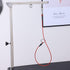 Pet Grooming Loop for Dogs - Fits Most No Sit Haunch Holder Pet Grooming Tubs and Tables Sturdy Steel Wire Rope(3 Packs) (Ring (Red)+No Sit Haunch...