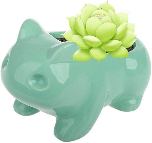 Ceramic frog Planter Pot Succulent Flowerpot Home Office Decorative DIY Painting Art Vase Ceramic succulent Planter Plants Flower Pot with Hole Ho...