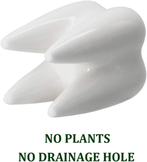 YOFIT Modern Style Teeth Pots Ceramic Flower Pot for Dental Gifts, White Succulent Cactus Bonsai Planter Container for Dental Office Decor, 3.7" S...