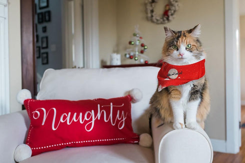 2 Pack Christmas Dog Cat Bandanas Christmas Pet Triangle Scarf Reversible Polyester Bibs Kerchief Saliva Towel for Small Medium Large Pets Bandana...