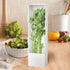 Herb Saver, Fresh Herb Keeper For Refrigerator, Cilantro Storage Container, Square Herb Saver Pod For Cilantro, Asparagus, Onion - Keeps Vegetable...