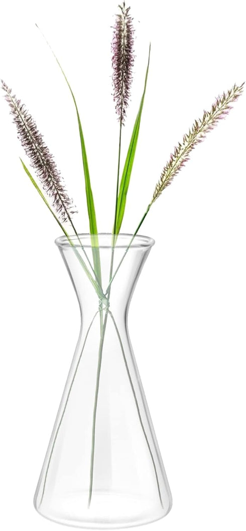 Haoideo Avocado Seed Sprout Starter Vase Planter Pot Glass Avocado Tree Plant Growing Vase Kit Indoor Home Decor Hydroponic Tabletop Flower Pot fo...