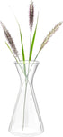 Haoideo Avocado Seed Sprout Starter Vase Planter Pot Glass Avocado Tree Plant Growing Vase Kit Indoor Home Decor Hydroponic Tabletop Flower Pot fo...