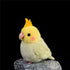 Nohito Realistic Yellow Cockatiel Parrot Bird Plush Toy Stuffed Animal Simulation Fake Bird Cockatoo Stuffed Animals Cute Little Bird Plushie Doll...