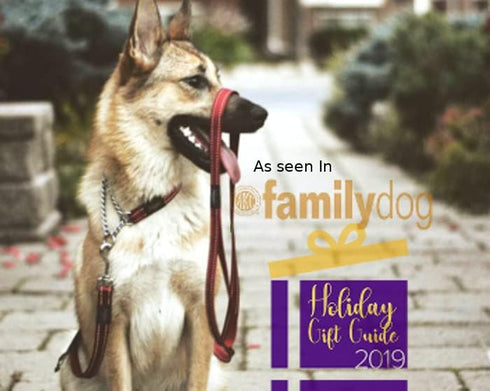 Reflective Nylon Choke Collar; Slip Show Obedience Training Gentle Choker for Extra Large Dogs, Purple...