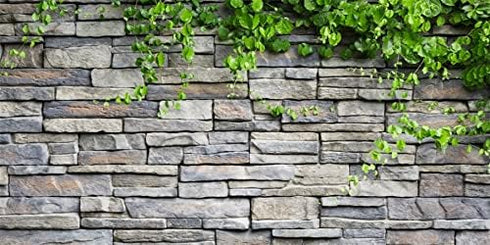 AWERT Vinyl 24x12 inches Stone Brick Wall Aquarium Background Rock Fish Tank Background Spring Leaves Terrarium Background...