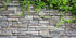AWERT Vinyl 24x12 inches Stone Brick Wall Aquarium Background Rock Fish Tank Background Spring Leaves Terrarium Background...