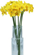 Tinsow Artificial Daffodil Flowers 15.8 Inches Narcissus Spring Flower Fake Silk Flower Arrangement for Home Wedding Decor (Yellow, 12)...