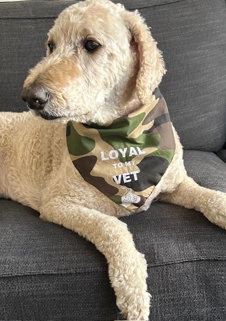 Set of Two Camo Dog Bandanas. One Size fits All, Lightweight, Breathable. Military Veterans, Air Force, Navy, Army, Marines, Pet Accessory, Large ...