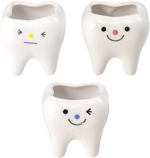 Ceramic Planter Ceramic Planter 2pcs Ceramic Tooth Planter Mini Porcelain Succulents Flower Pot Cute Pen Pencil Holder for Office Home Desk Decor ...