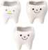 Ceramic Planter Ceramic Planter 2pcs Ceramic Tooth Planter Mini Porcelain Succulents Flower Pot Cute Pen Pencil Holder for Office Home Desk Decor ...