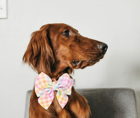 Adjustable Pet Bow Tie and Dog Collar for Lady Small Medium Large Dogs, Puppy Collar with Bowtie, Cute Lady Bow and Dog Collars - Comfort Soft Cot...