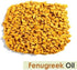 Fenugreek (Trigonella foenum) Essential Oil 100% Pure & Natural Undiluted Uncut Therapeutic Oil - Use for Aromatherapy (30ml with Dropper)...