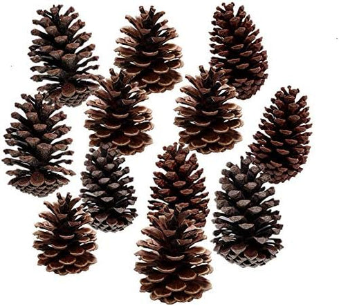DKKRRNT PineCones Tall Bulk Package All Natural,Real Preserved Pine Cones Big Pinecones and Perfect Natural Pine Cones for Christmas Hanging Ornam...