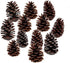 DKKRRNT PineCones Tall Bulk Package All Natural,Real Preserved Pine Cones Big Pinecones and Perfect Natural Pine Cones for Christmas Hanging Ornam...