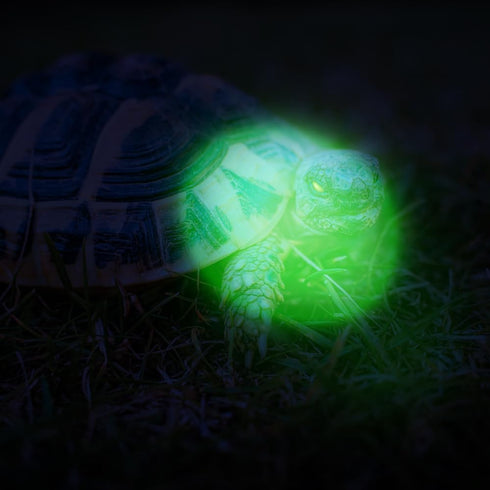 8 Pack Ultra Bright Green Light Keychain Flashlight, Mini Green LED Keychain Flashlight, Green Keychain Flashlight for Night Observation...