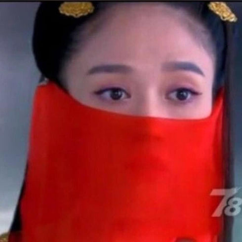 Rhinestone Tassels Face Veil Ear-hanging Mask Belly Dancing Veil Ancient Chinese Princess Hanfu Accessories...