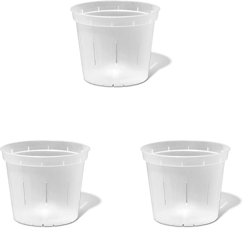rePotme Orchid Pot - 6 inch Slotted Clear Orchid Pots - 3 Pack (Crystal Clear)...