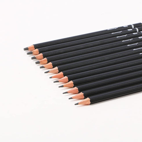 Drawing Sketch Pencils Set 4H 2H H HB B 2B 4B 6B 8B 10B 12B 14B Art Supplies for Drawing Art Sketching Shading Artist Pencils, 12 Count Black...