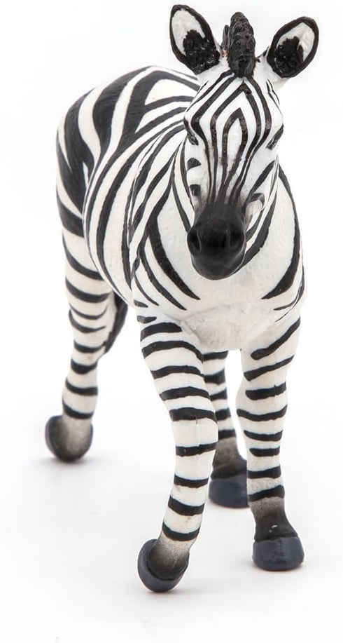 Papo -hand-painted - figurine -Wild animal kingdom - Male zebra -50249 -Collectible - for Children - Suitable for Boys and Girls- from 3 years old...