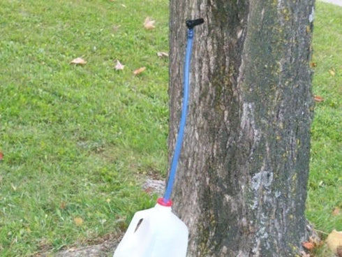 3 Maple Sap Ecolo Spouts with 2 ft. Blue Drop Lines, Spile, Tap, Syrup....