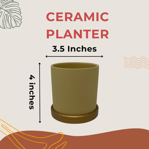 Ceramic Planter Pot with Drainage Hole and Saucer - Succulent Planters with Tray - Single - Perfect Fo Small Plants or Succulents - 4inx3.5in...