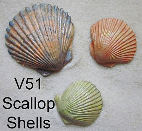 Scott Clark Woolley Scallop Shell Molds (set of 3)...